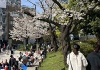 日本研究生学费多少？