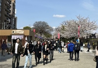 日本留学一年多少钱？