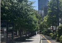 英语专业在日本读研难吗？
