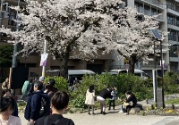 日本读研几年制？