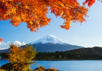大学后去日本留学有哪些途径？