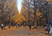 去日本留学读研究生费用高吗？一年大概多钱？