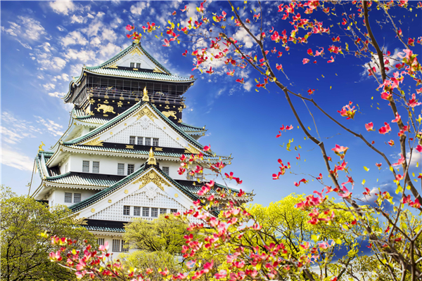 临床医学专业可以去日本留学吗？