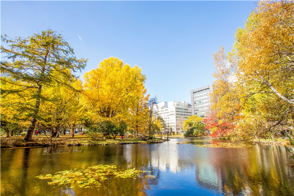日本明治大学留学条件有哪些？
