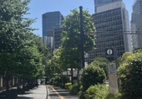 地质学专业可以去日本读博吗？