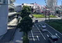 日本大学医学博士有 SGU 项目吗？