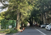 日本法医学读博要求高吗？