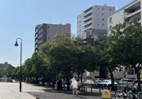 医学院本科毕业去日本读博难吗？