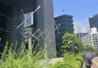 日本东京大学sgu项目留学生就业率如何？