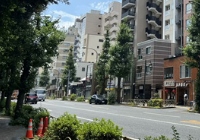 高中生留学日本大学的条件有哪些？