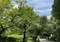 申请去日本读博士的条件是什么
