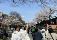 日本最好的英文授课大学有哪些？