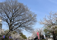 日本硕士开学时间是几月份