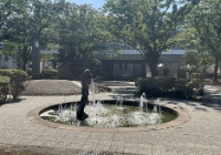 好的医学日本读博的费用是多少？