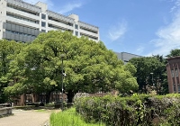 日本英文授课sgu项目有哪些大学？