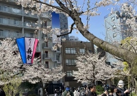 日本英文授课的学校名单