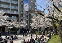 中国高中生去日本留学的流程如何？