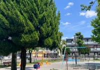 留学日本材料专业介绍和学校推荐