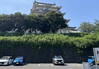 日本硕士怎么申请？