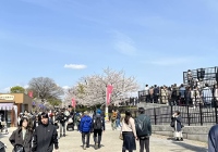 日本留学动物医学不错的大学有哪些？