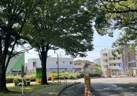 日本sgu项目申请时间及流程是怎么样？