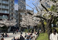 日本读博士英语授课申请要求条件