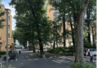 日本研究生学校排名：一文读懂热门院校梯队