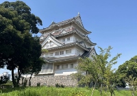 如何申请去日本读博？