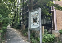 想去日本留学读本科怎么选专业？