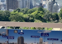 日本大学艺术留学申请条件是什么？