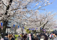 年龄大可以去日本留学吗？