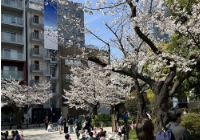 留学硕士日本的申请条件有哪些？