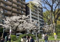 去日本读博价钱如何