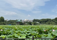 日本留学金融专业怎么样？