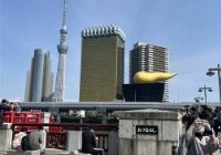 日本英语授课费用多少钱？