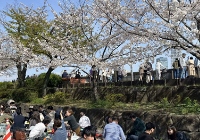 日本sgu申请时间在几月？