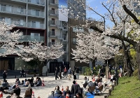 日本留学汉语言文学专业不错的大学有哪些？