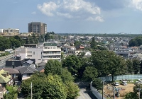 大四去日本读研的条件有哪些？