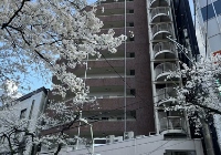 日本留学经济学专业不错的大学和申请条件