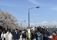 日本留学英语授课项目是什么？