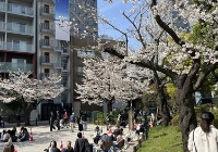 一年日本留学费用人民币是多少