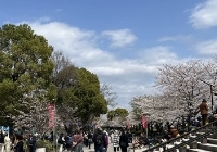 日本读研申请流程是什么？