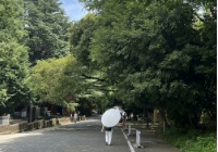 日本硕士研究生申请条件是什么？