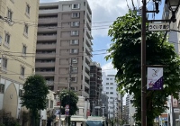 申请日本读研流程是什么？