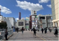 日本留学：修士预科与博士预科全解析