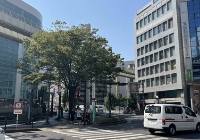 日本SGU项目申请流程是什么？