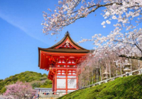 日本留学研究生可以转专业吗？