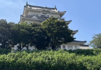 日本sgu申请流程要套磁联系教授吗？