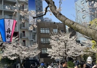 去日本读硕士研究生要多少钱？