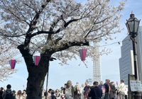 日本大学SGU英语授课硕士博士申请条件？
